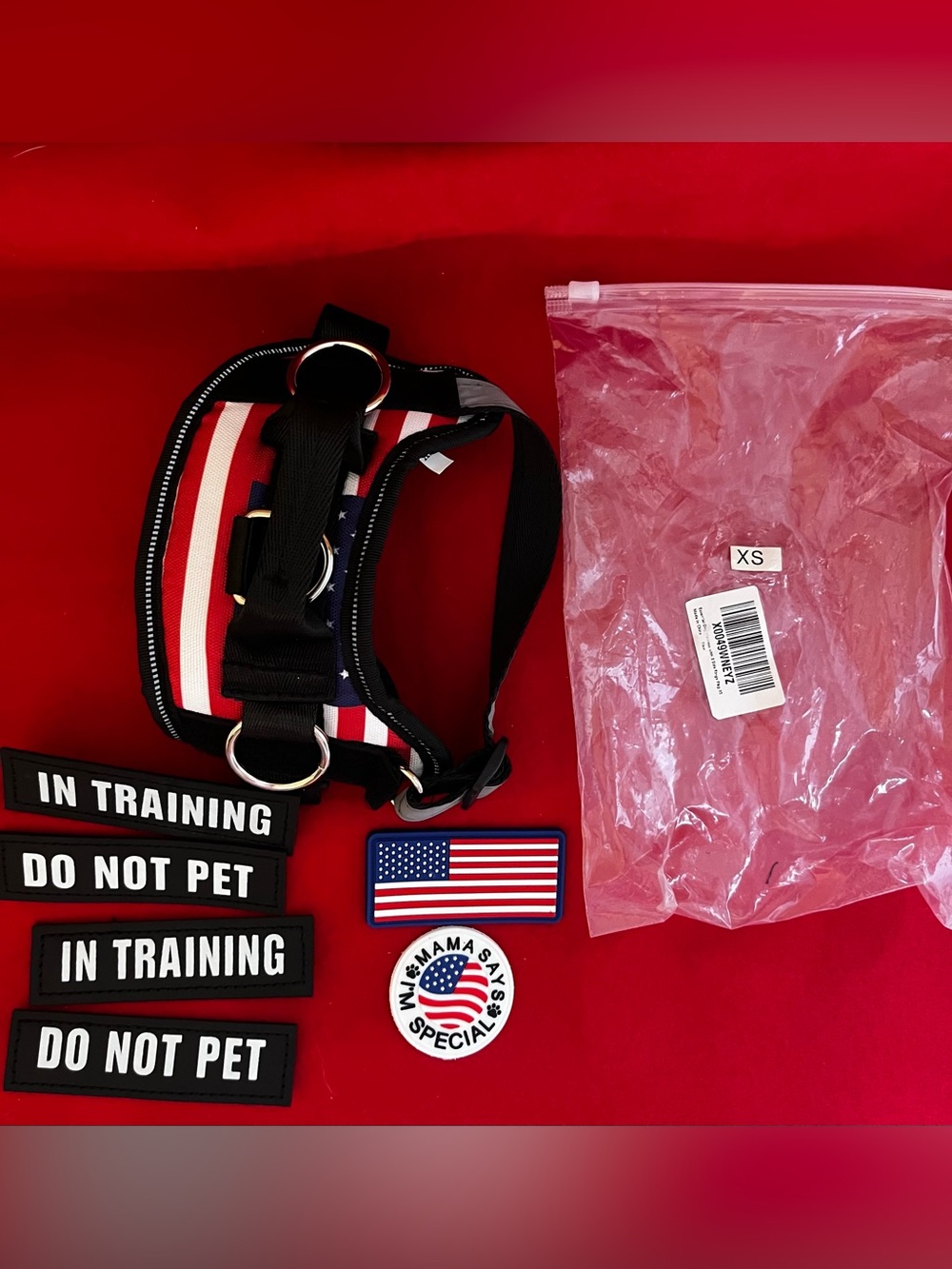 Essential Training 3 Side Ring Dog Harness